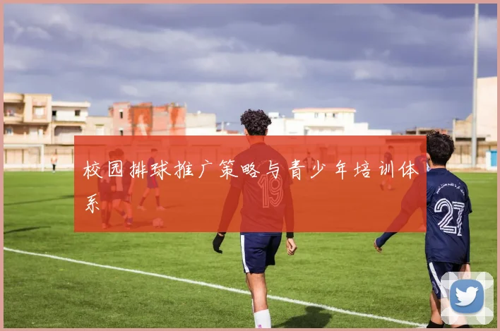 校园排球推广策略与青少年培训体系