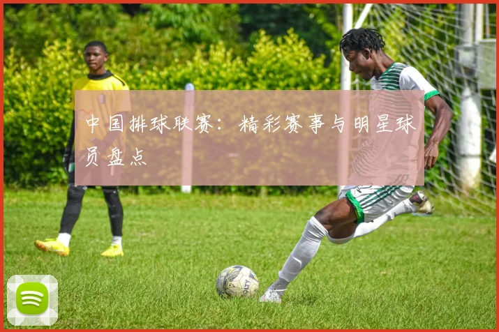 中国排球联赛：精彩赛事与明星球员盘点